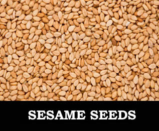 SESAME.jpg