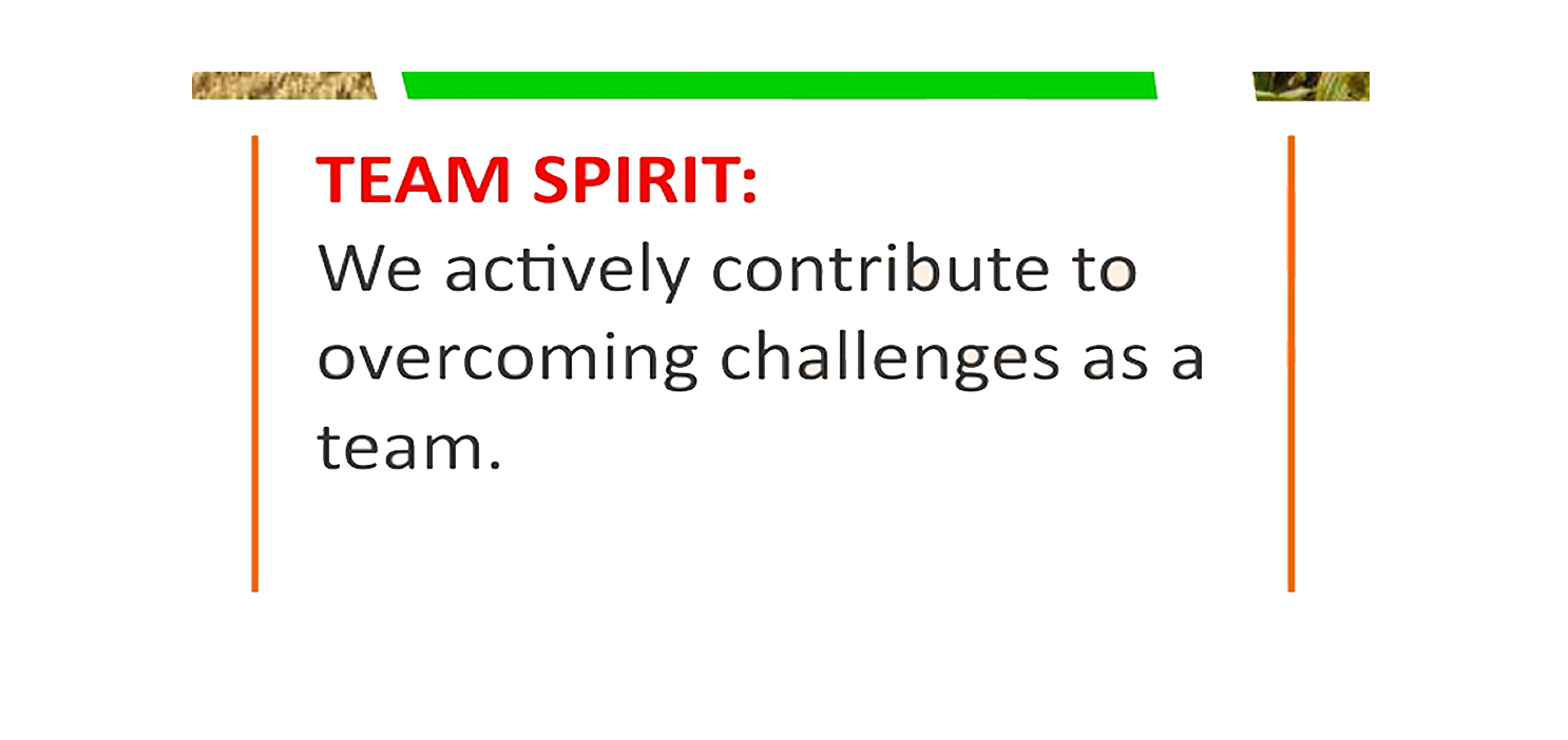 teamspirit.png